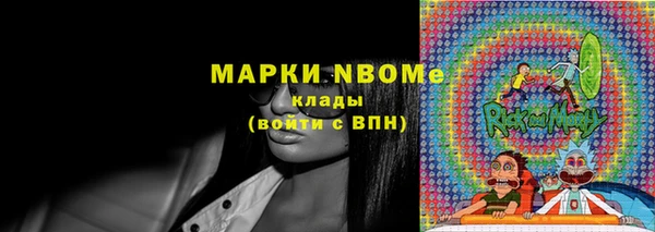 мдпв Вяземский